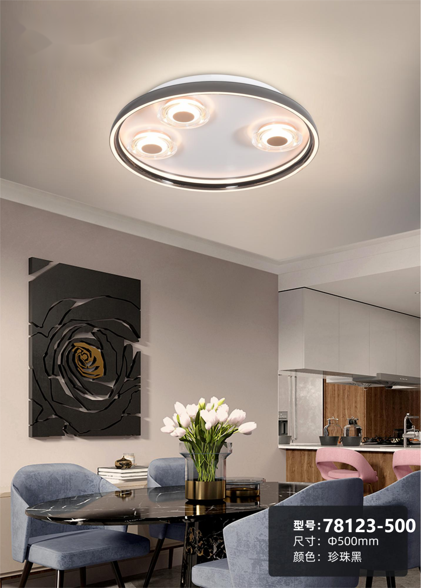 Modern Ceiling Light Fixture