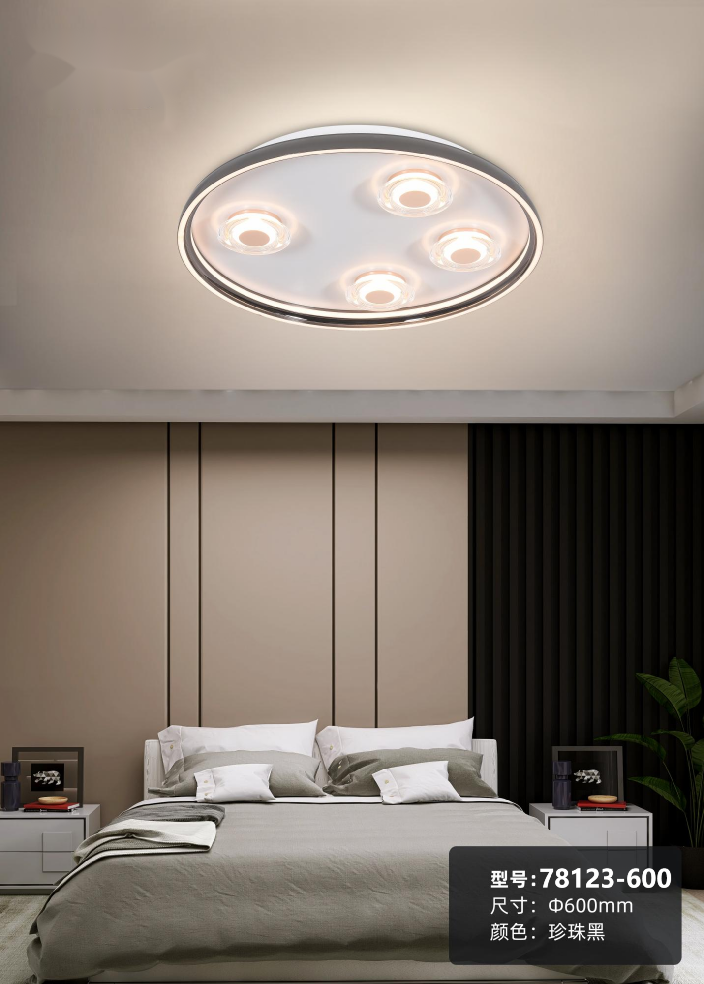 Modern Ceiling Light Fixture