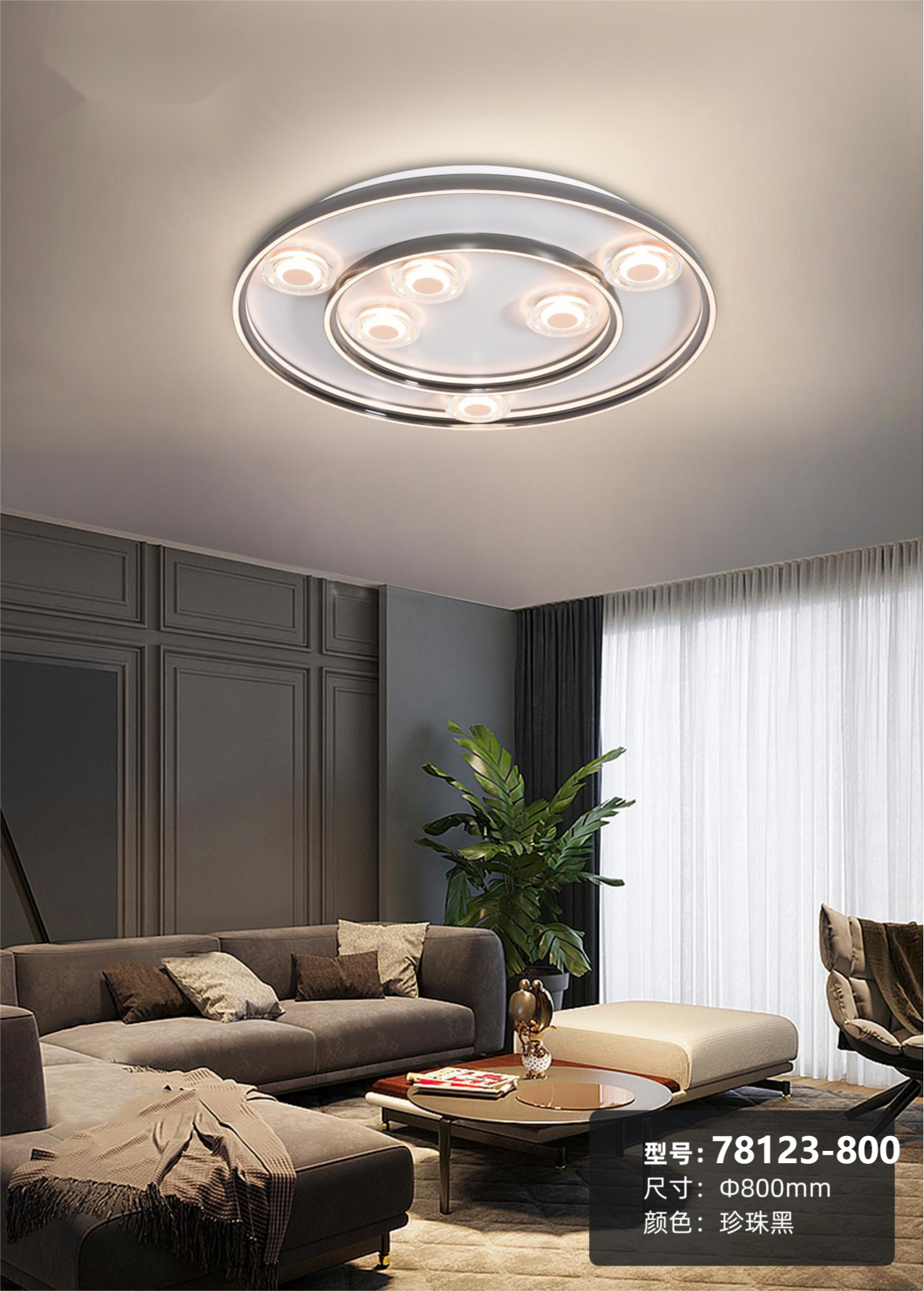 Modern LED Ceiling Light