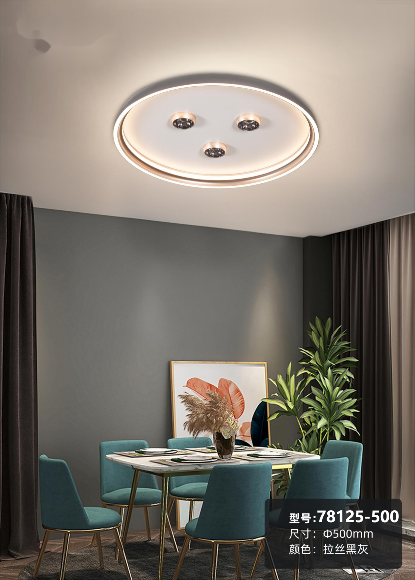 Modern Ceiling Light