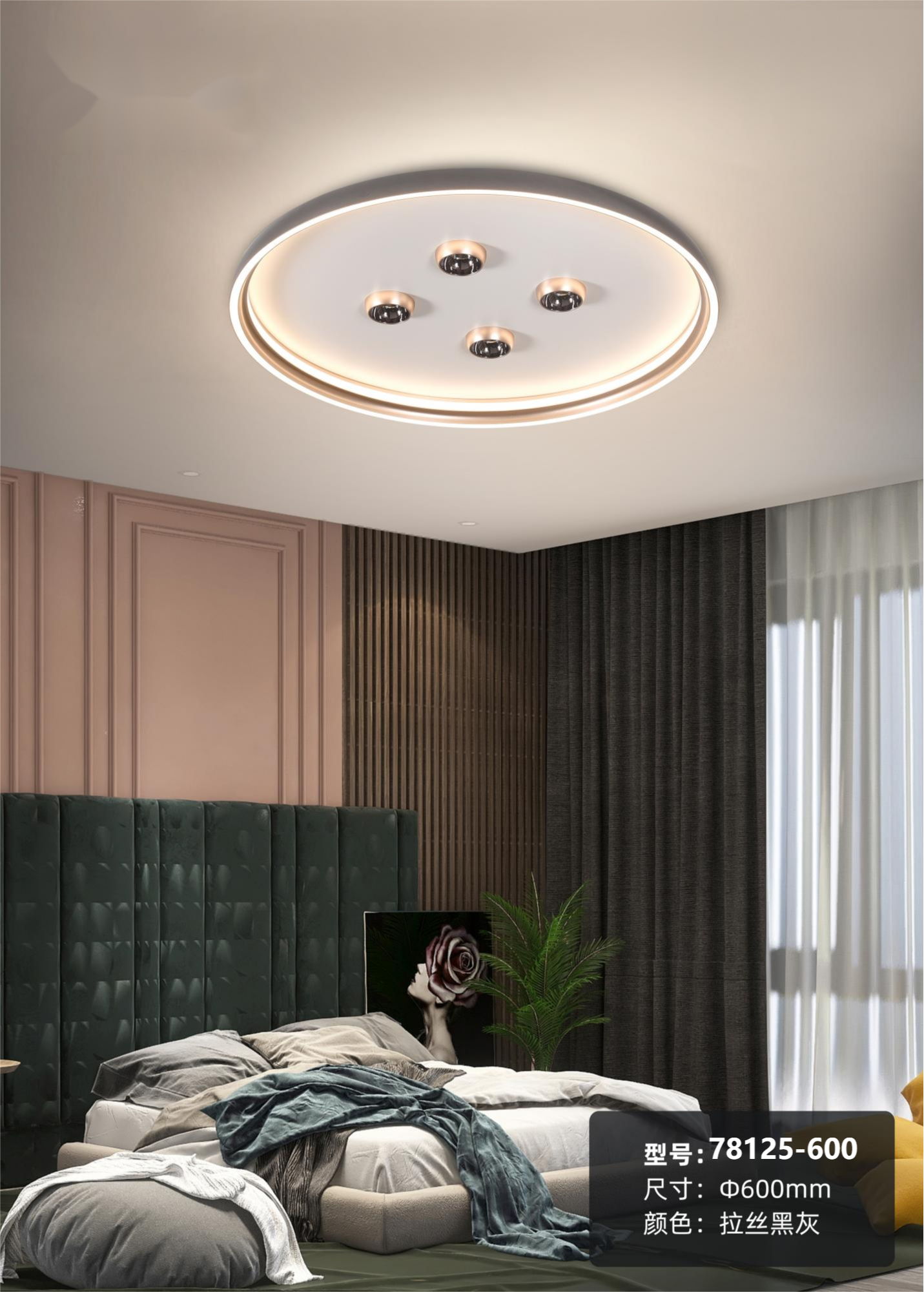 Modern Ceiling Light
