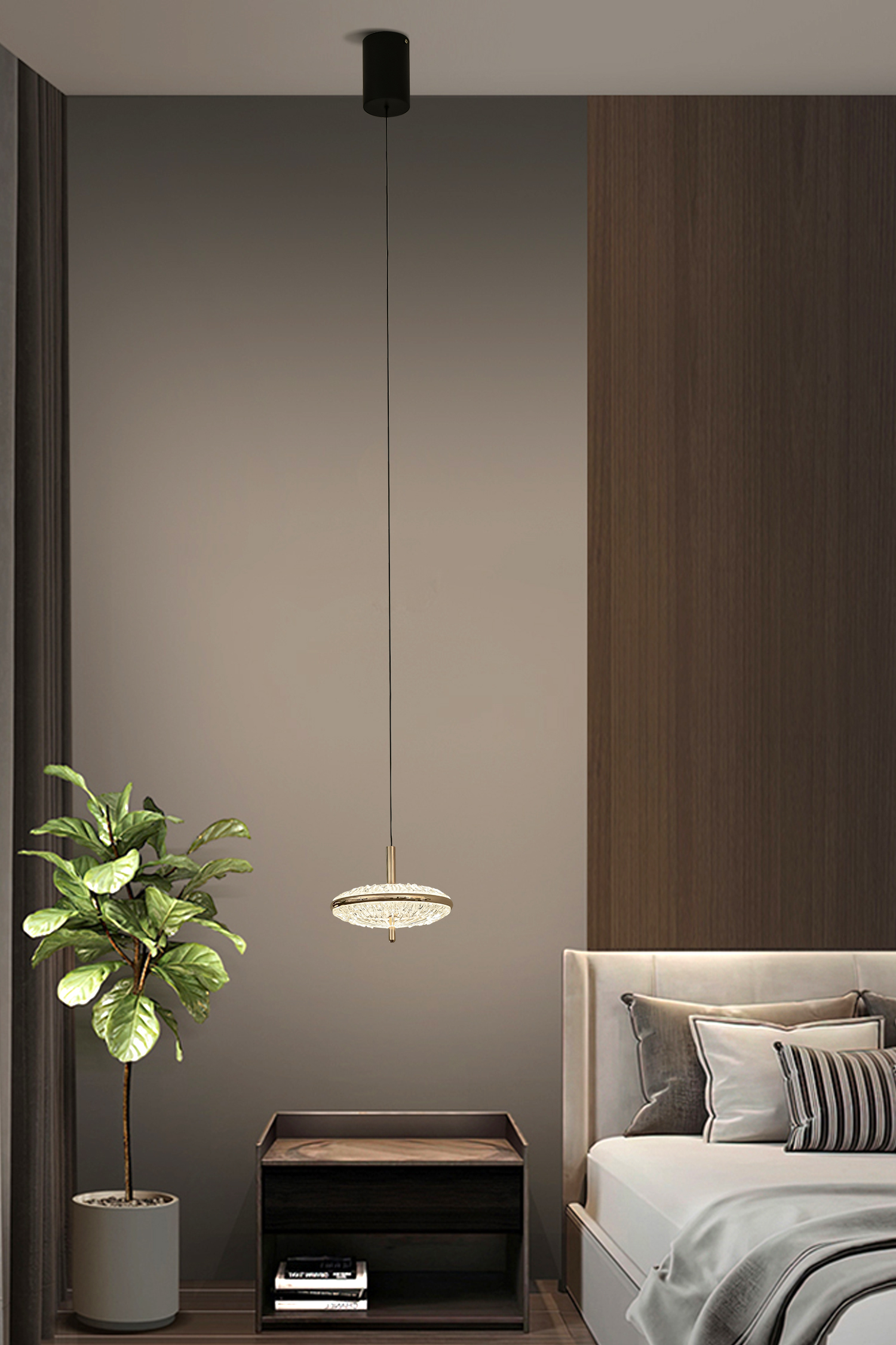 Modern Pendant Light