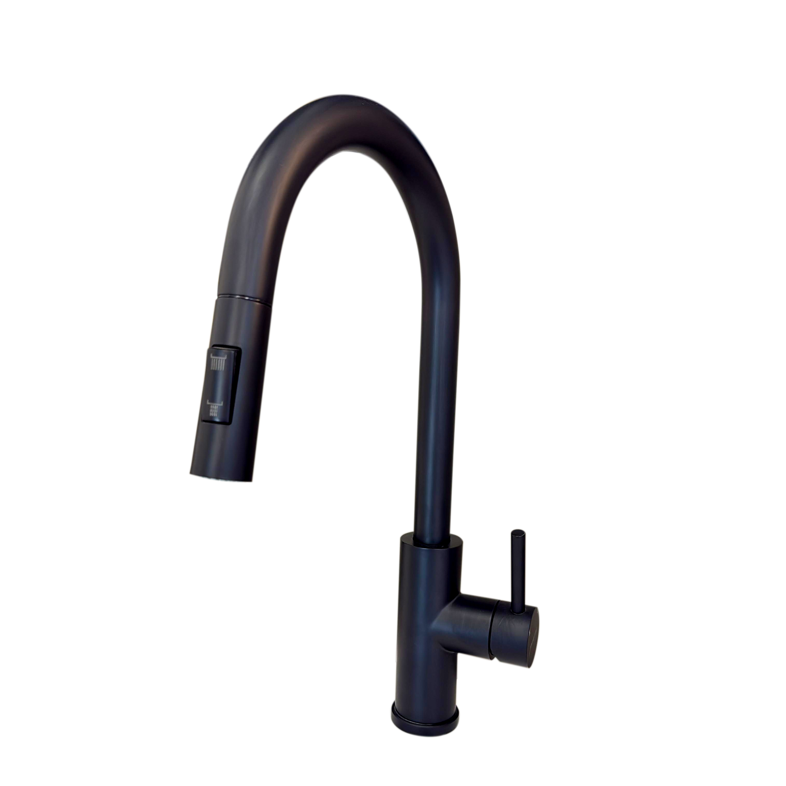 Matte Black Kitchen Faucet