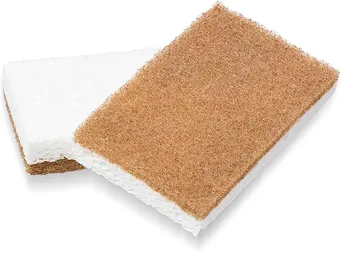 Full Circle In A Nutshell Walnut Scrubber Sponges – Pack of 2 Non-Scratch Natural Kitchen Scrubbies 