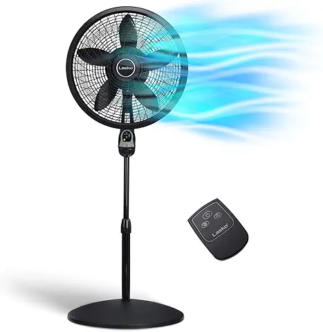a fan