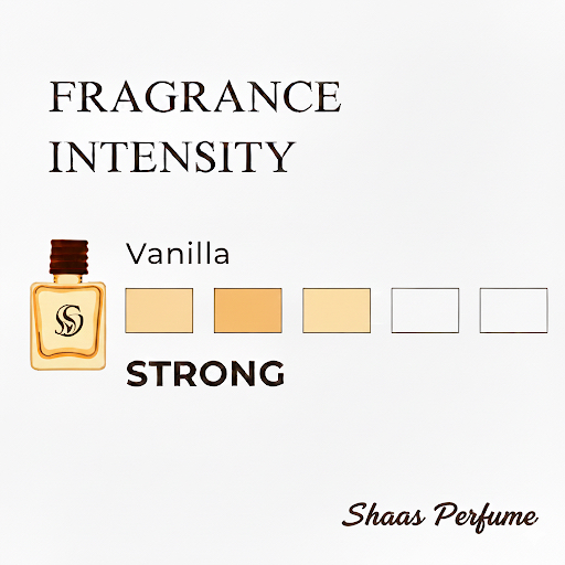 Vanilla Hanging Car Air Freshener