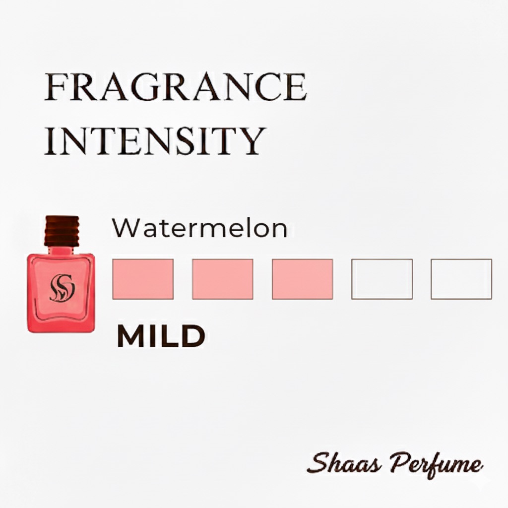 Watermelon Hanging Car Air Freshener