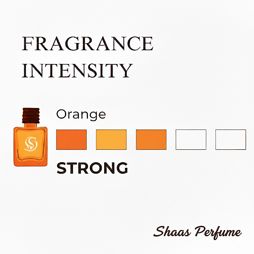 Fista Orange Car A/C Air Freshener