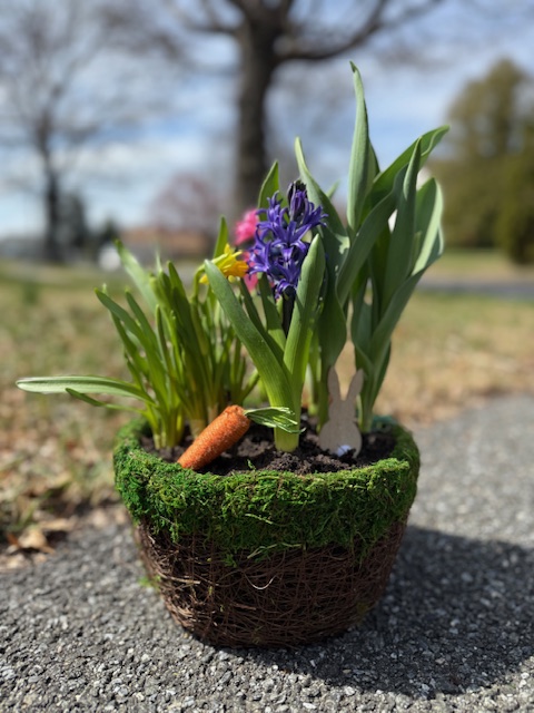 Spring Bloom Basket