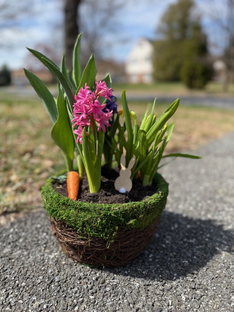 Spring Bloom Basket