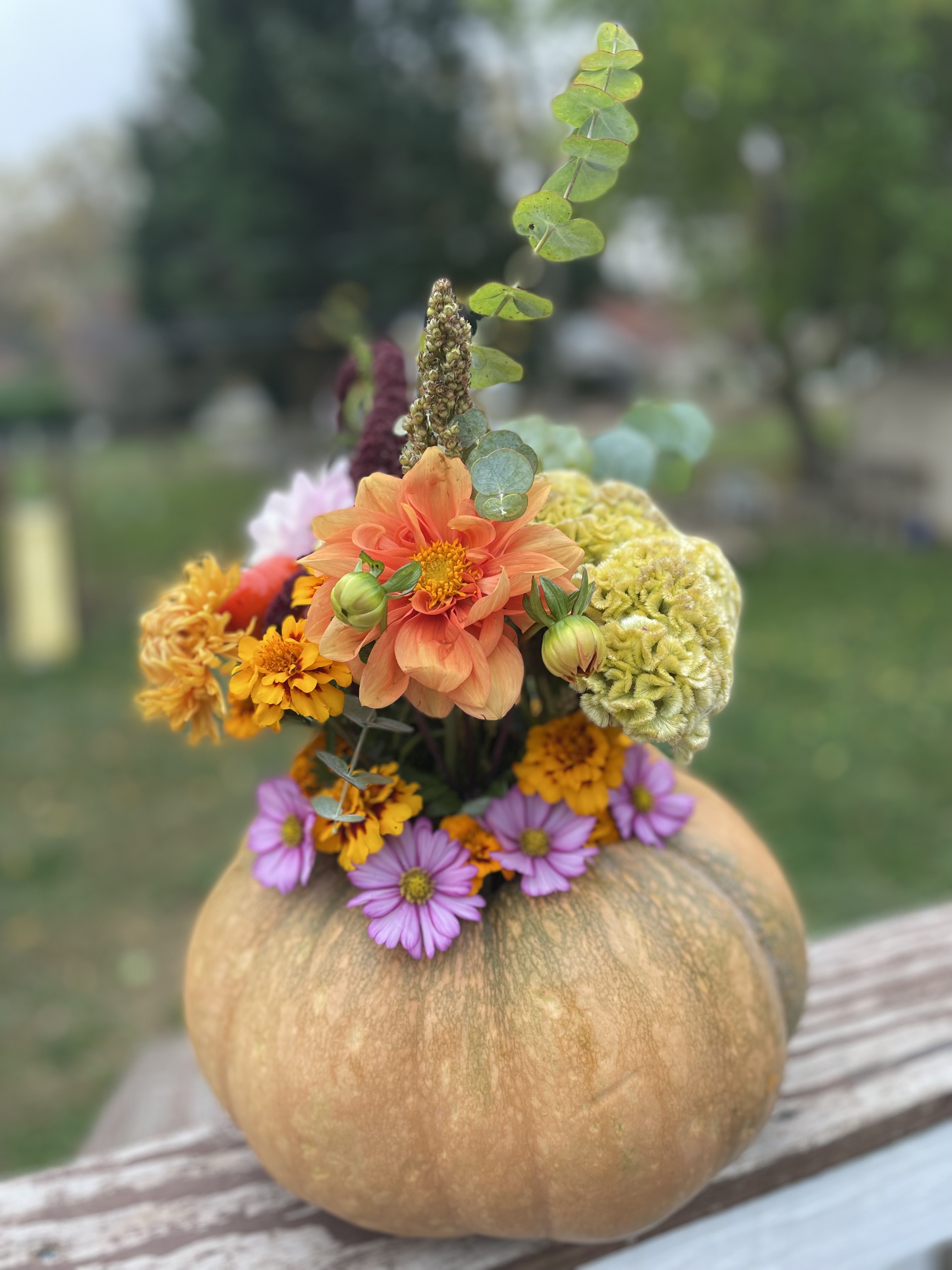 Pumpkin Bloom Arrangement
