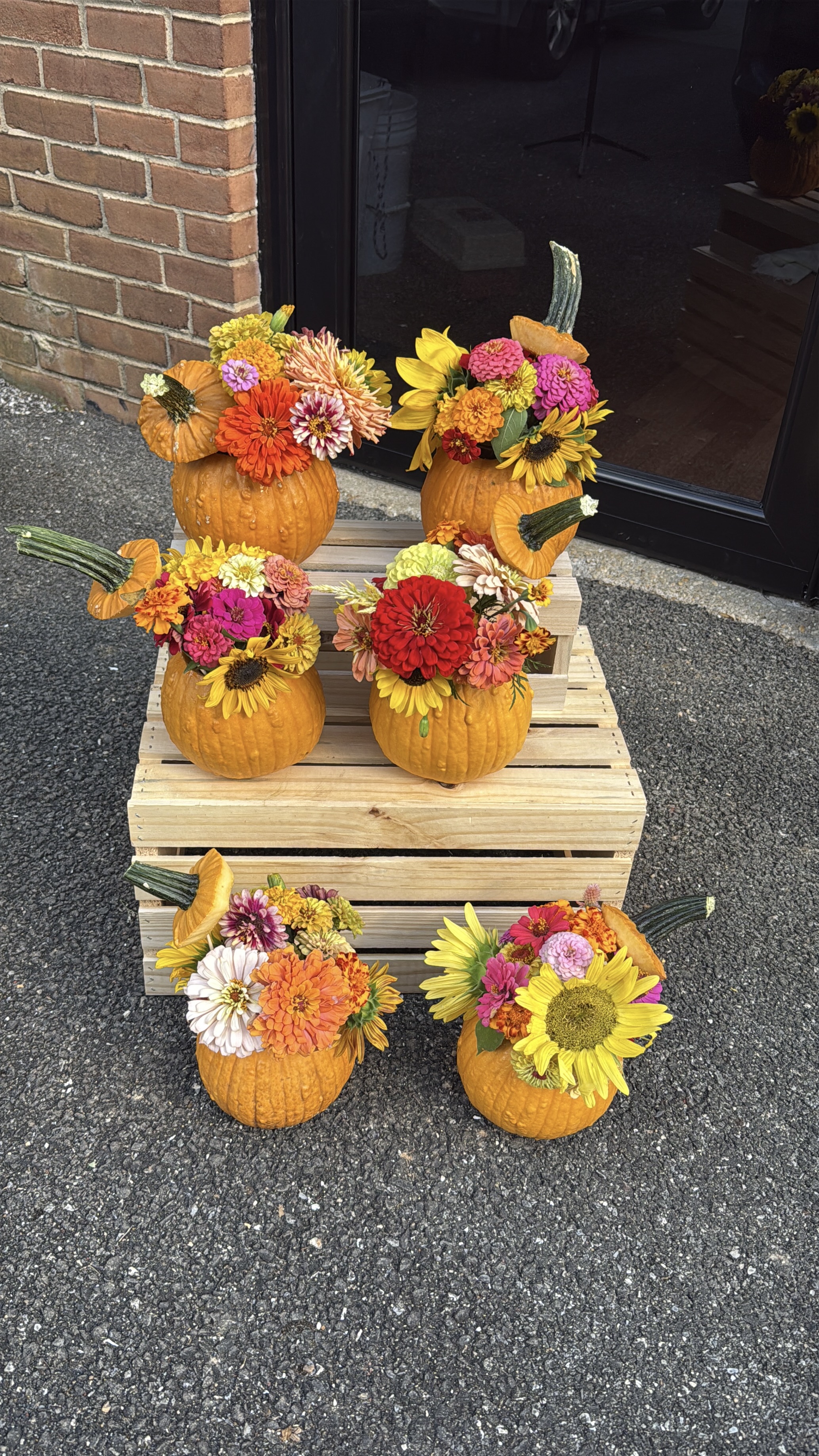 Pumpkin Bloom Arrangement