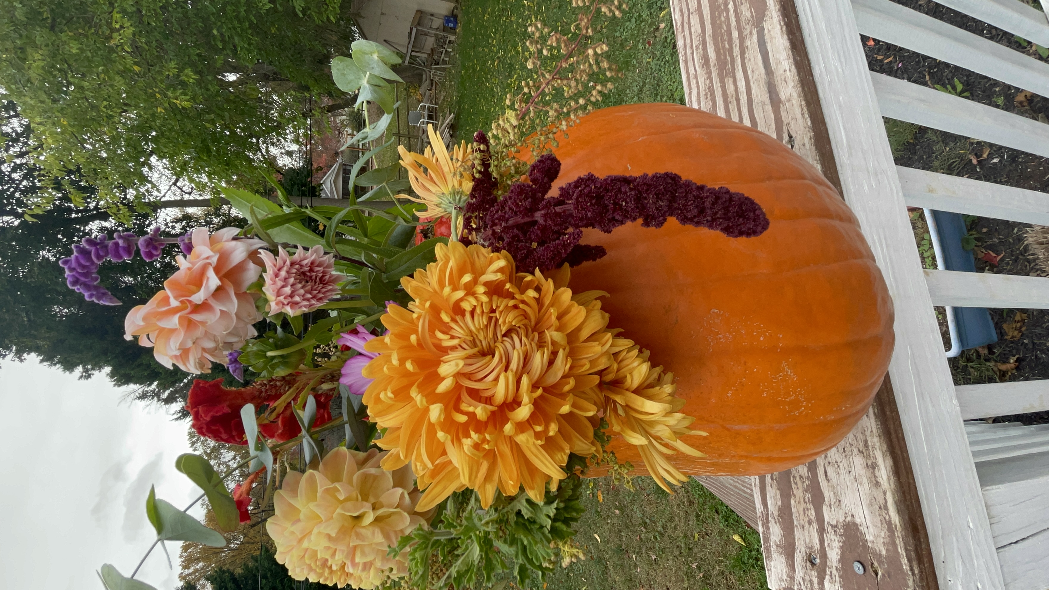 Pumpkin Bloom Arrangement