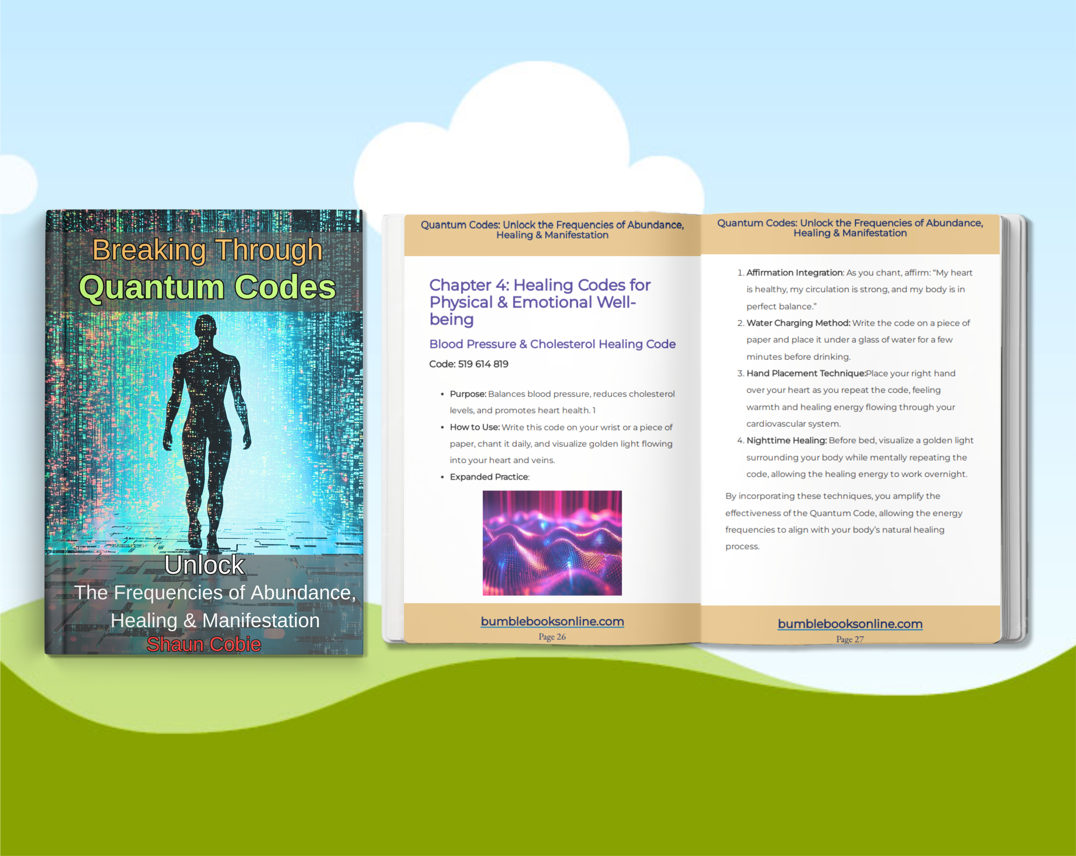 Quantum Codes