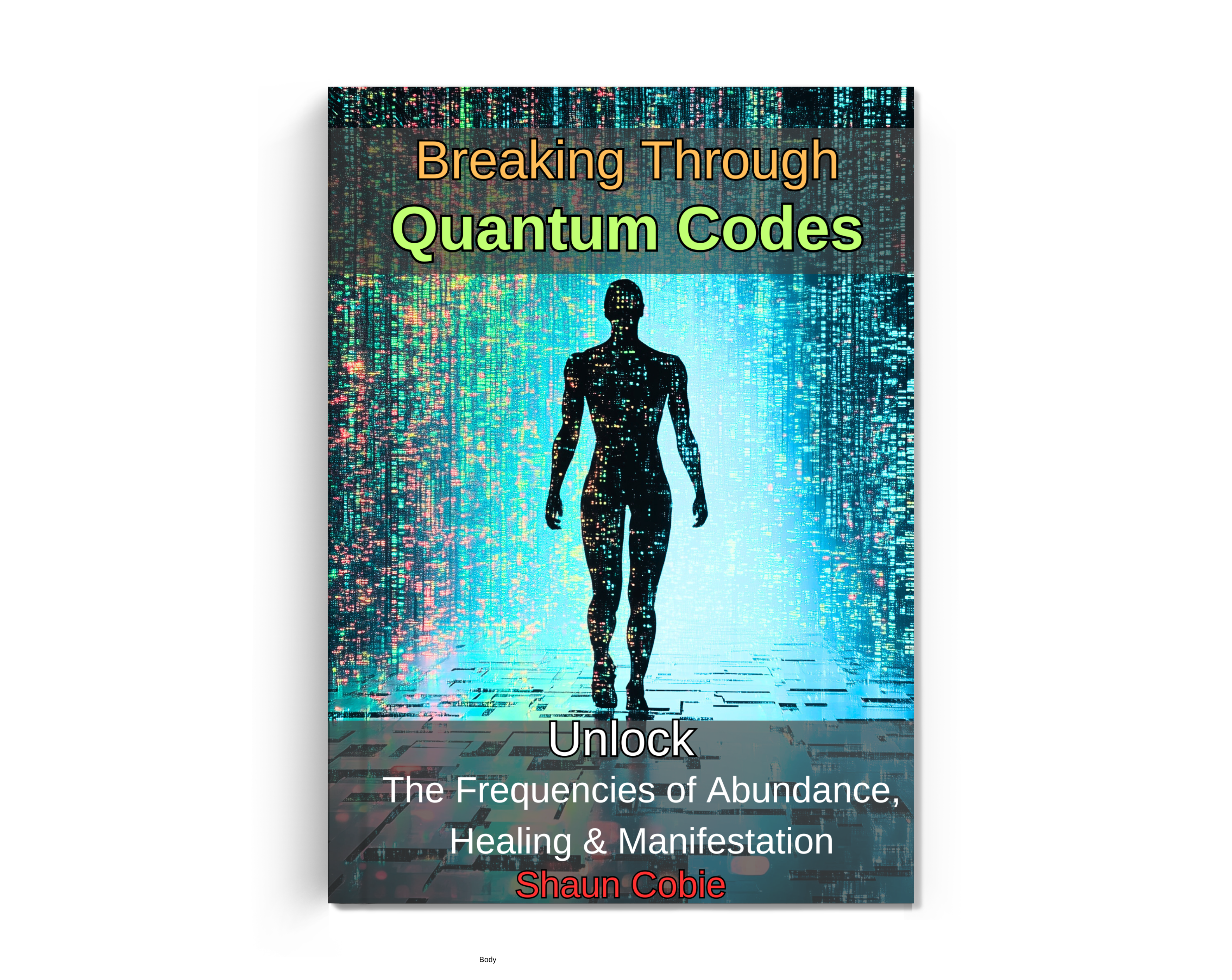 Quantum Codes