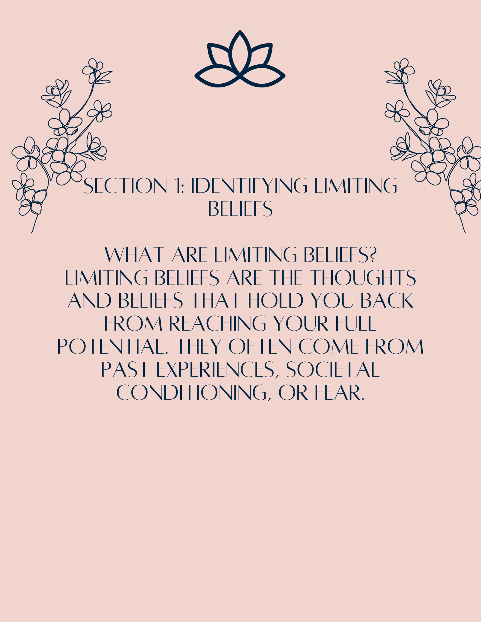 Mindset Reset Workbook:A Beginner's Guide