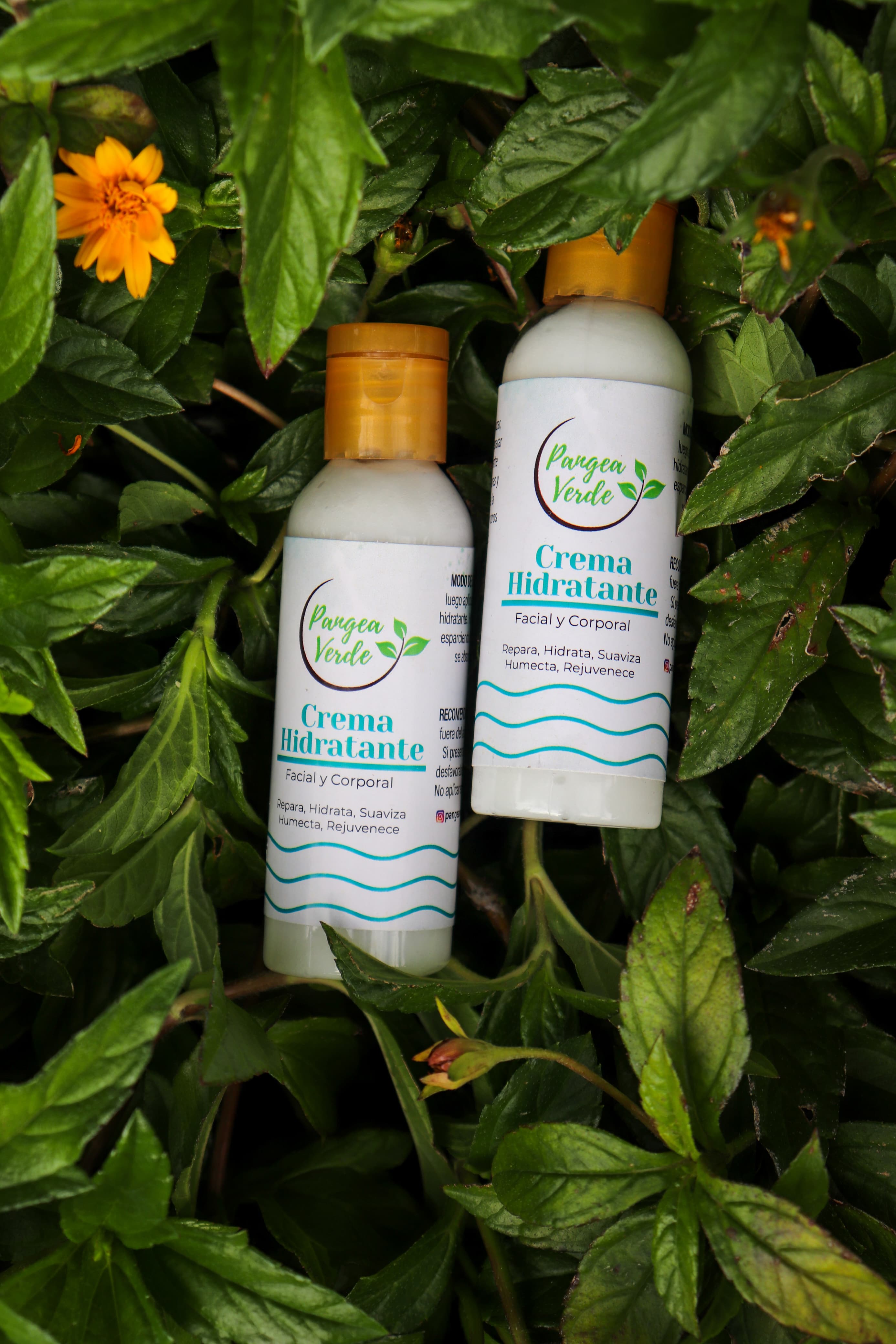Crema Hidratante