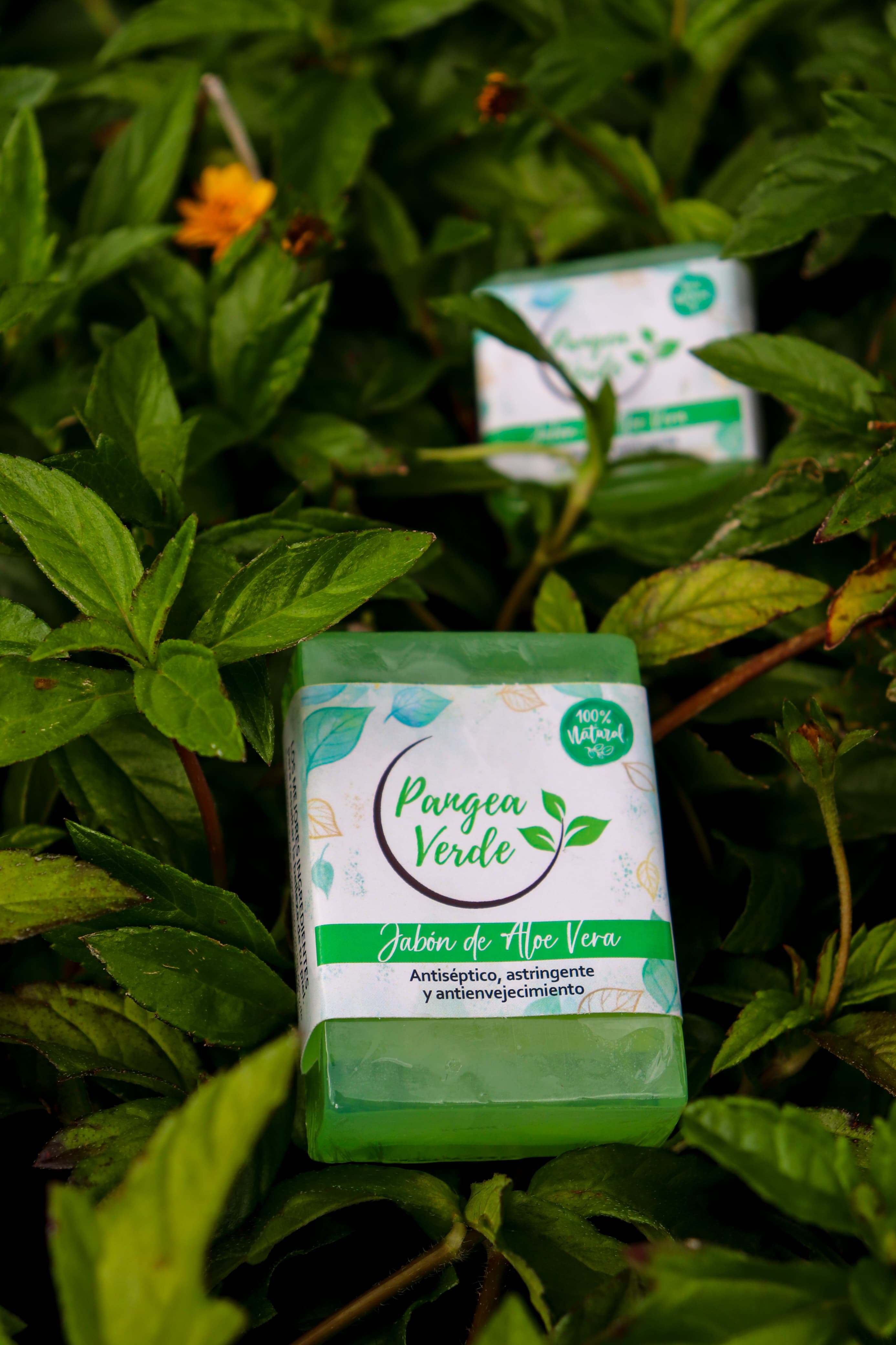 Jabón de Aloe Vera