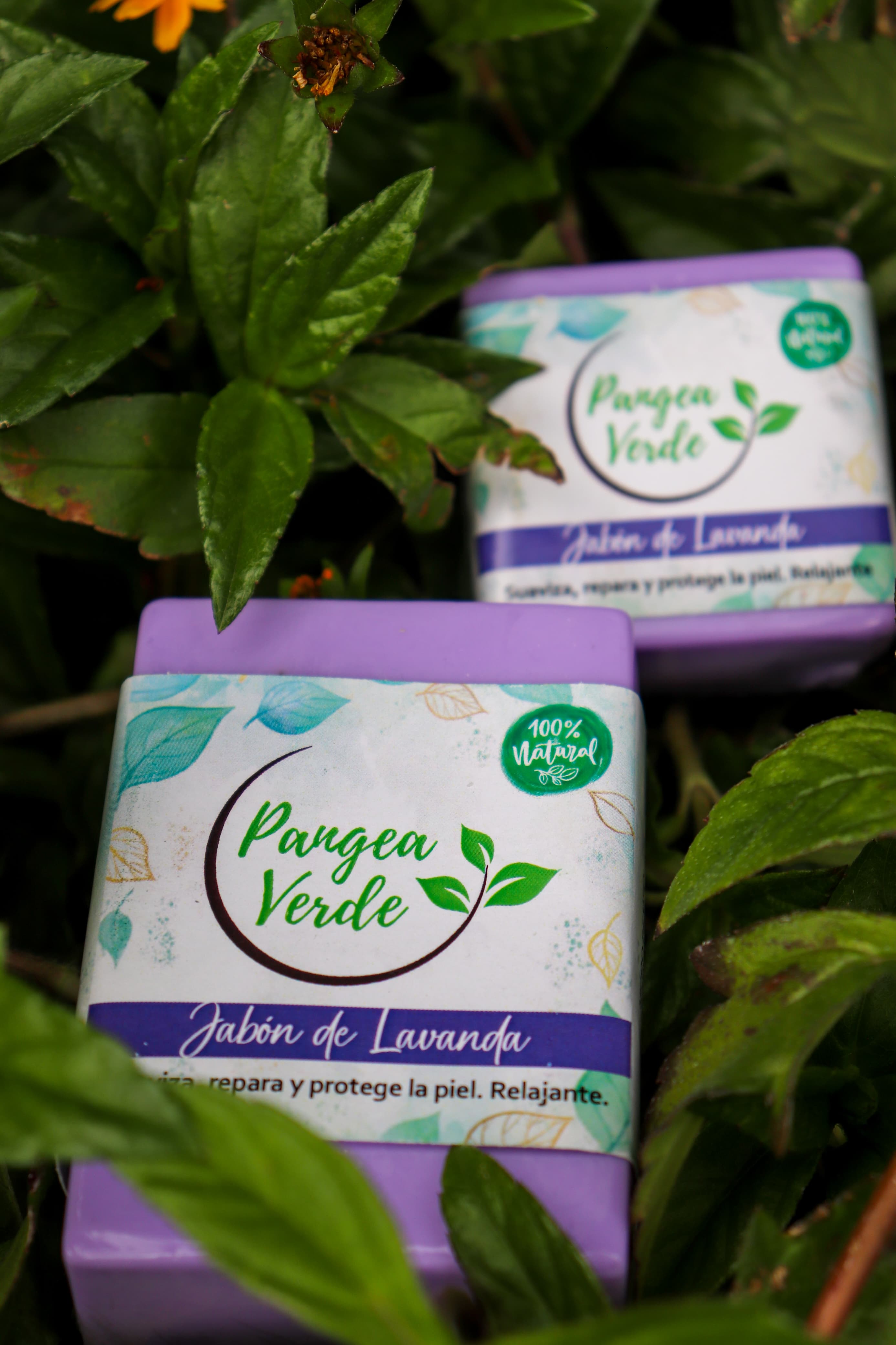 Jabón de Lavanda
