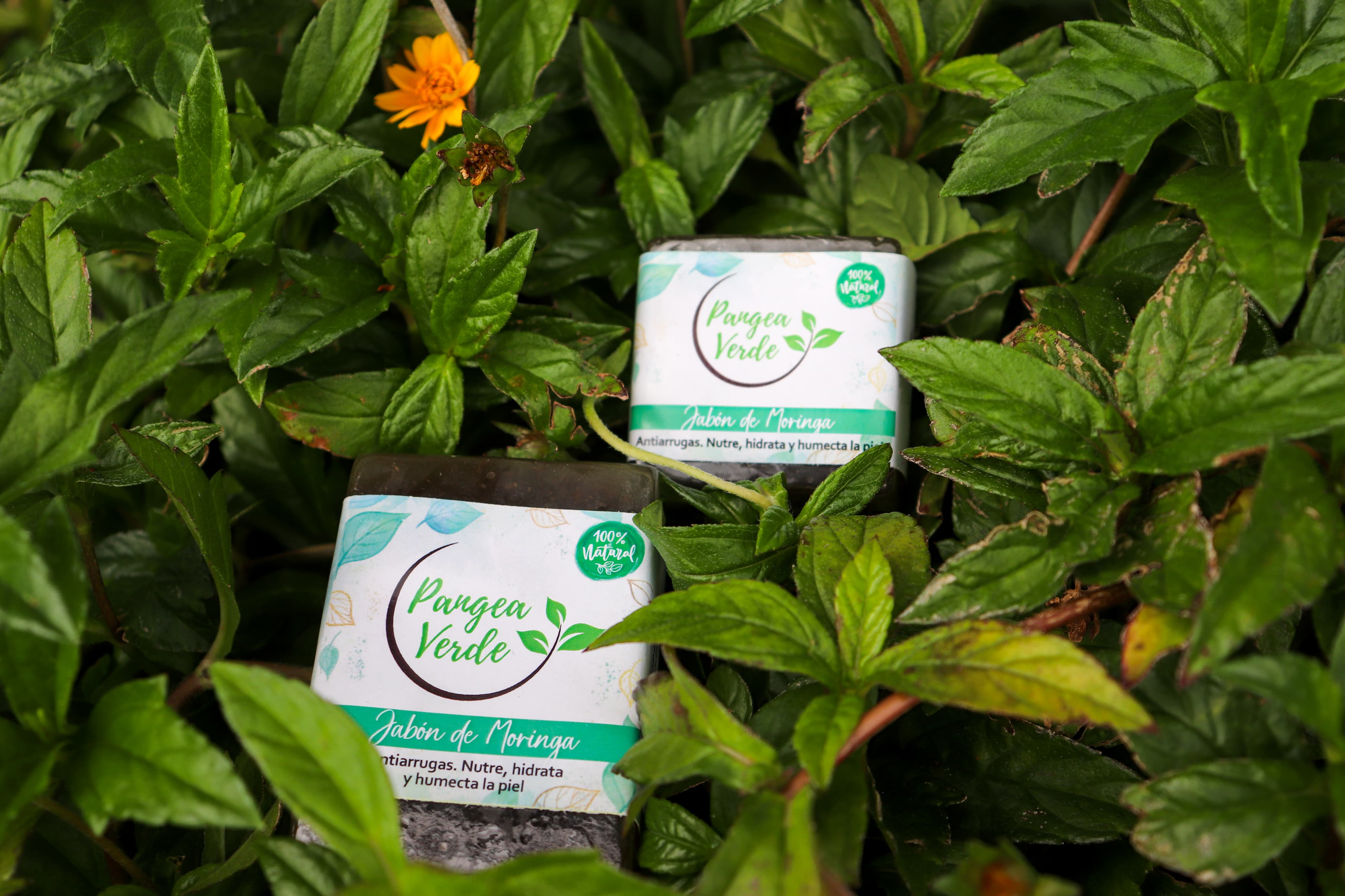 Jabón de Moringa