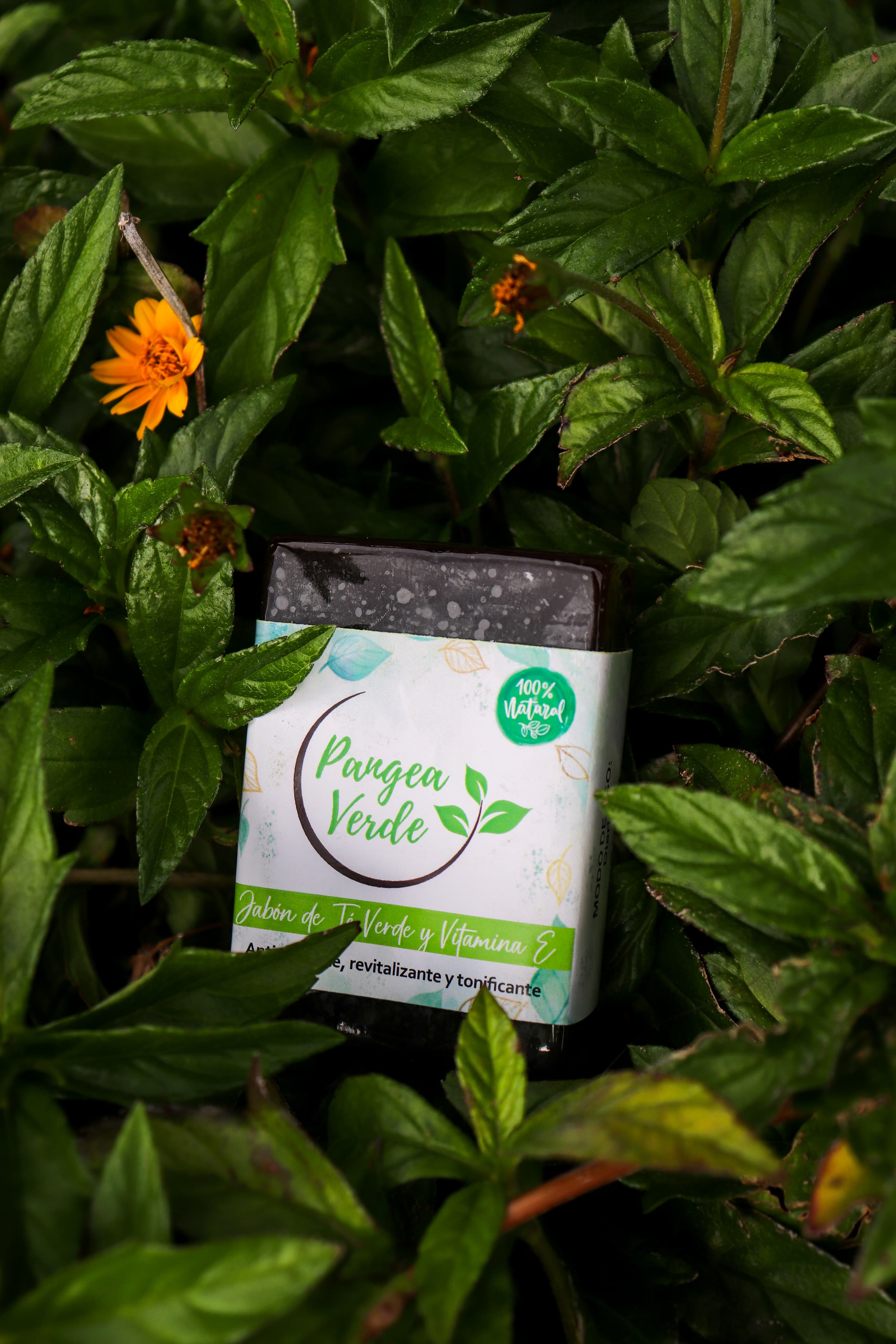 Jabón de Té Verde y Vitamina E