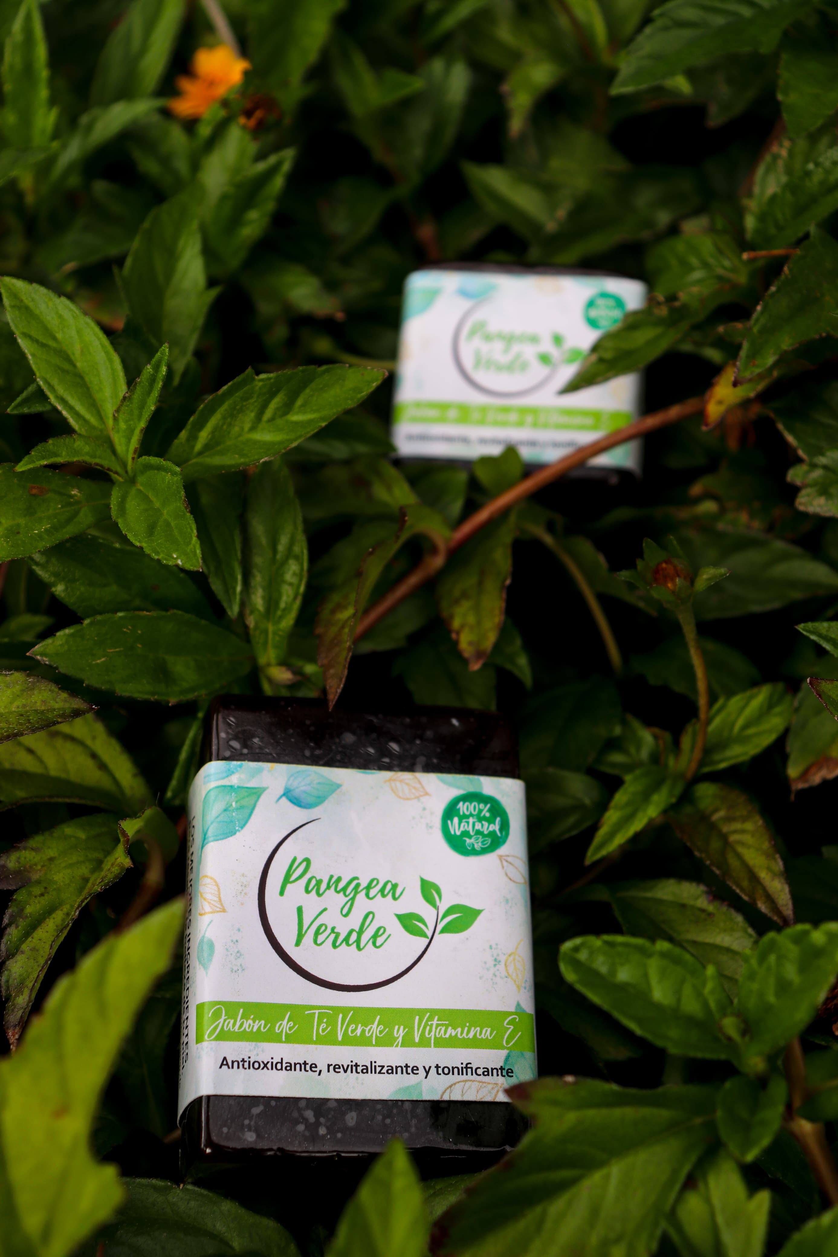 Jabón de Té Verde y Vitamina E