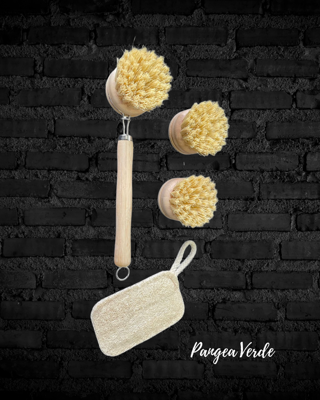 Set de Cepillos y Esponja