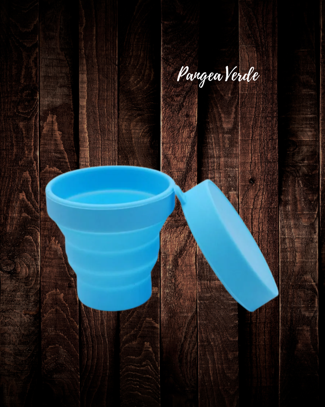 Vaso Esterilizador Plegable 