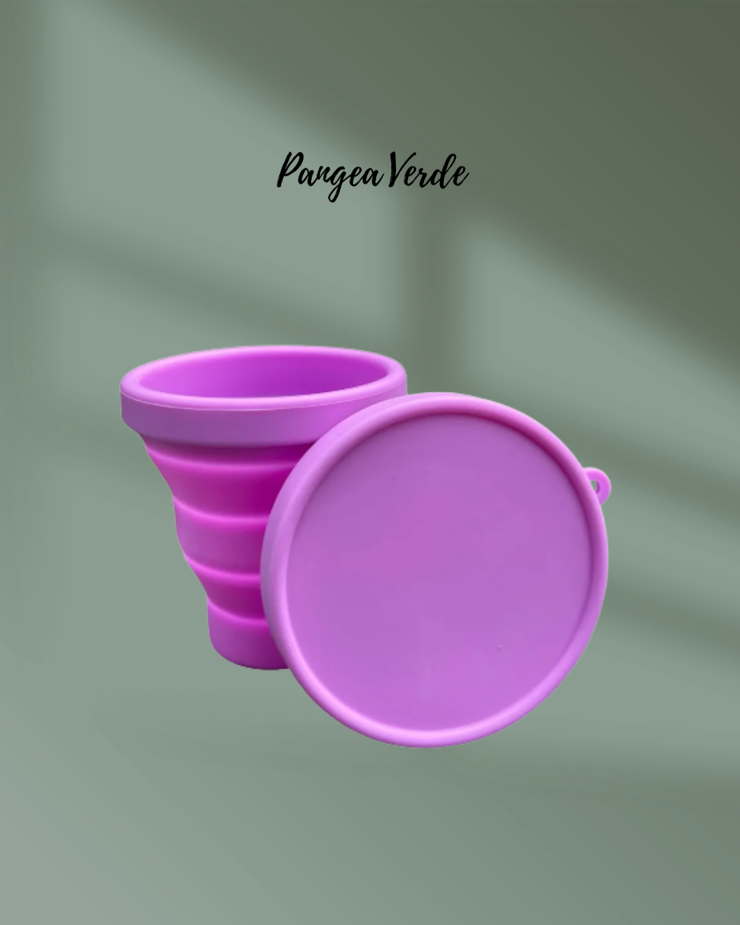 Vaso Esterilizador Plegable 