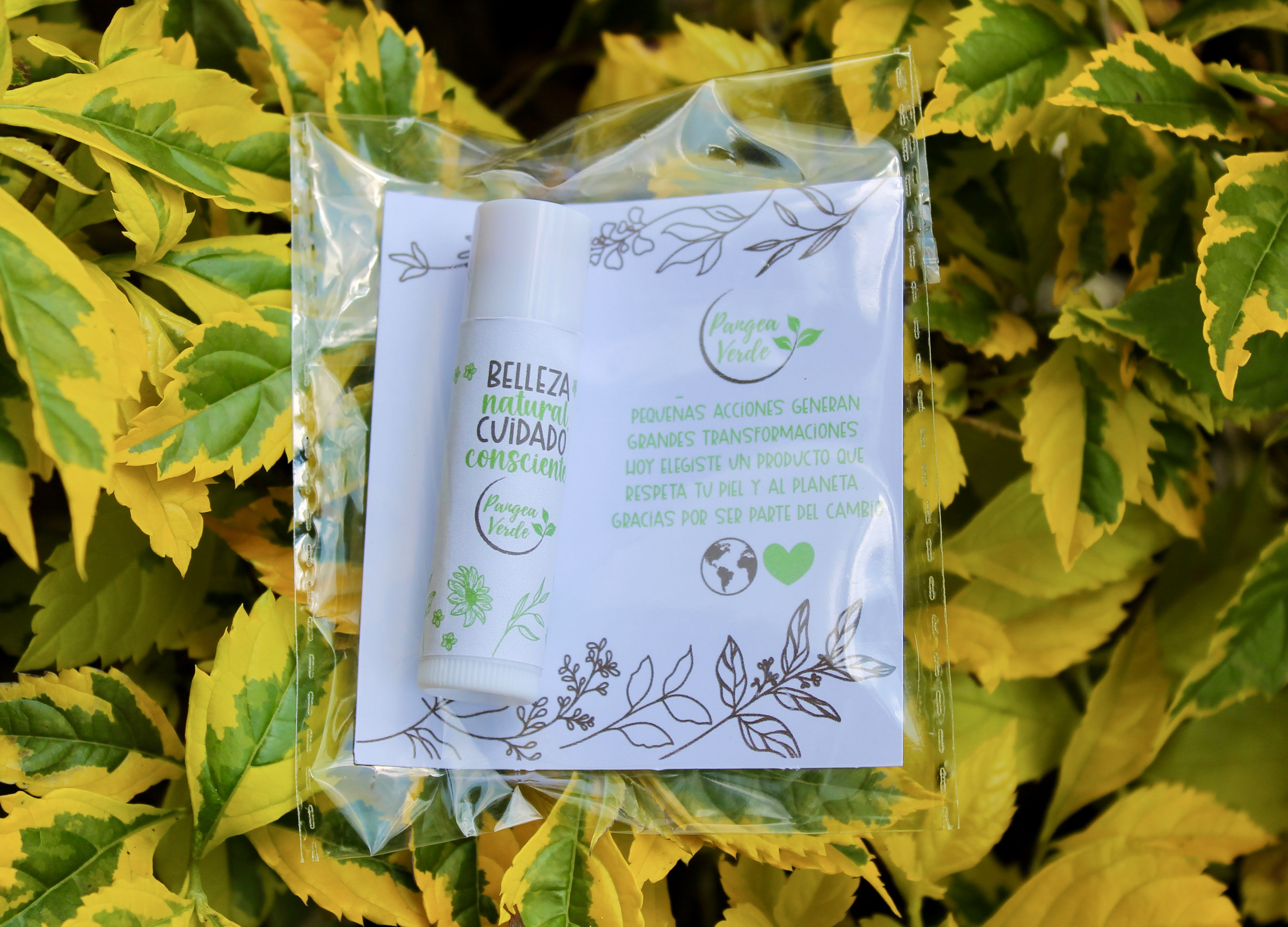 Hidratante para Labios Pangea Verde