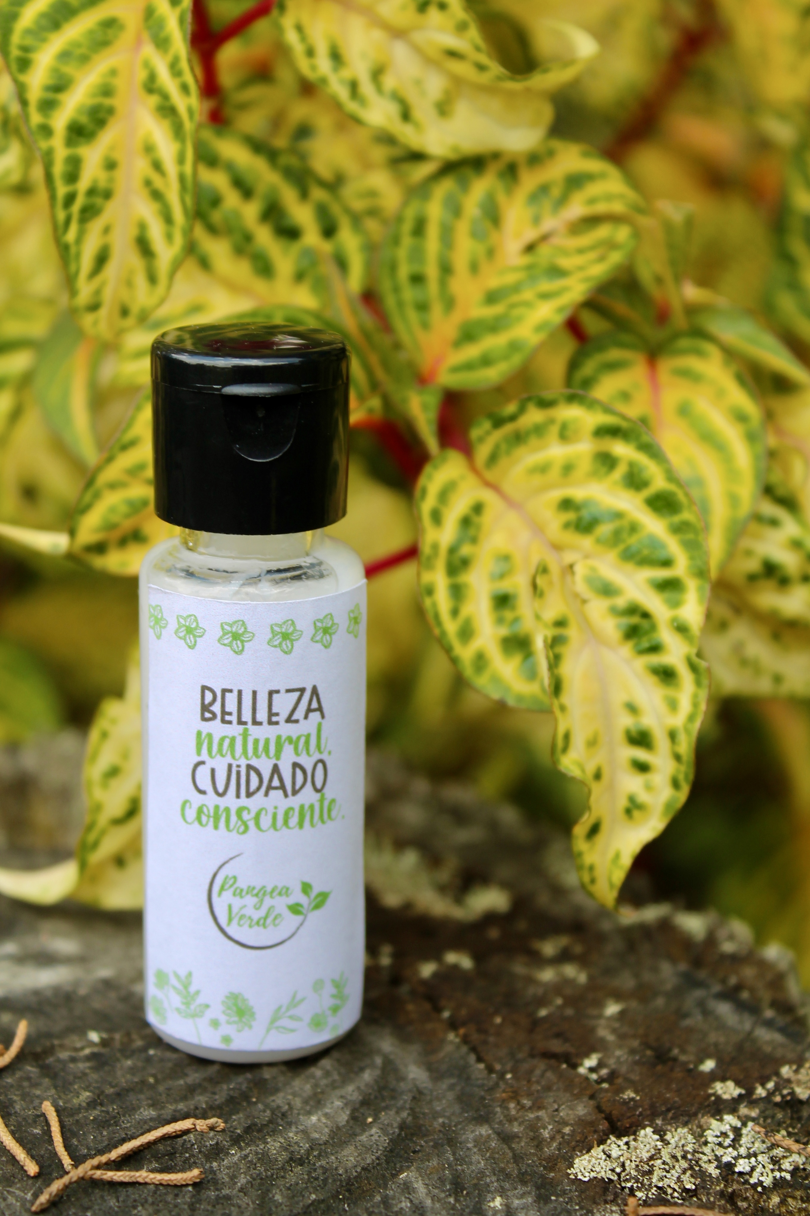 Crema Corporal Pangea Verde