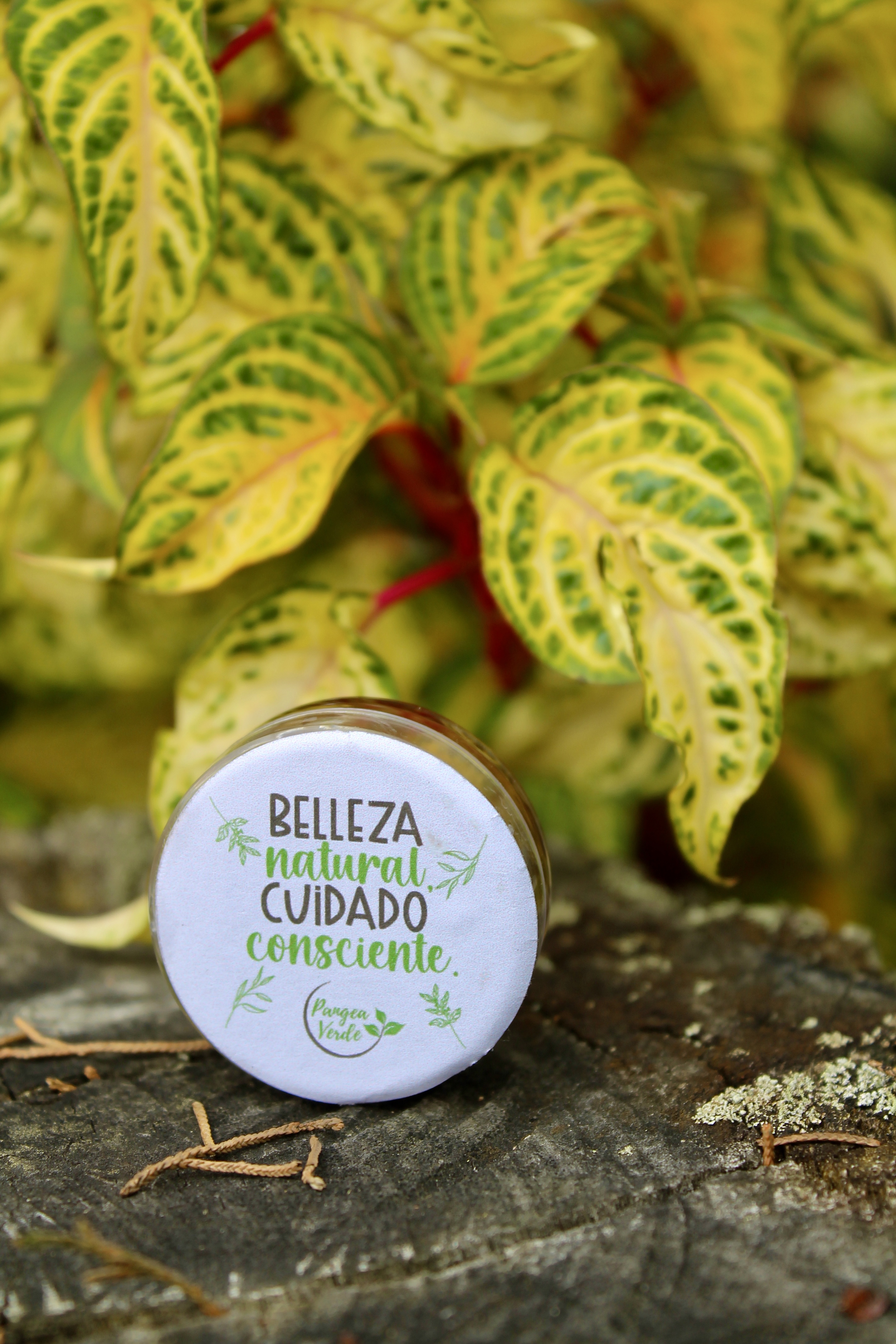 Kit Cuidado Personal Pangea Verde