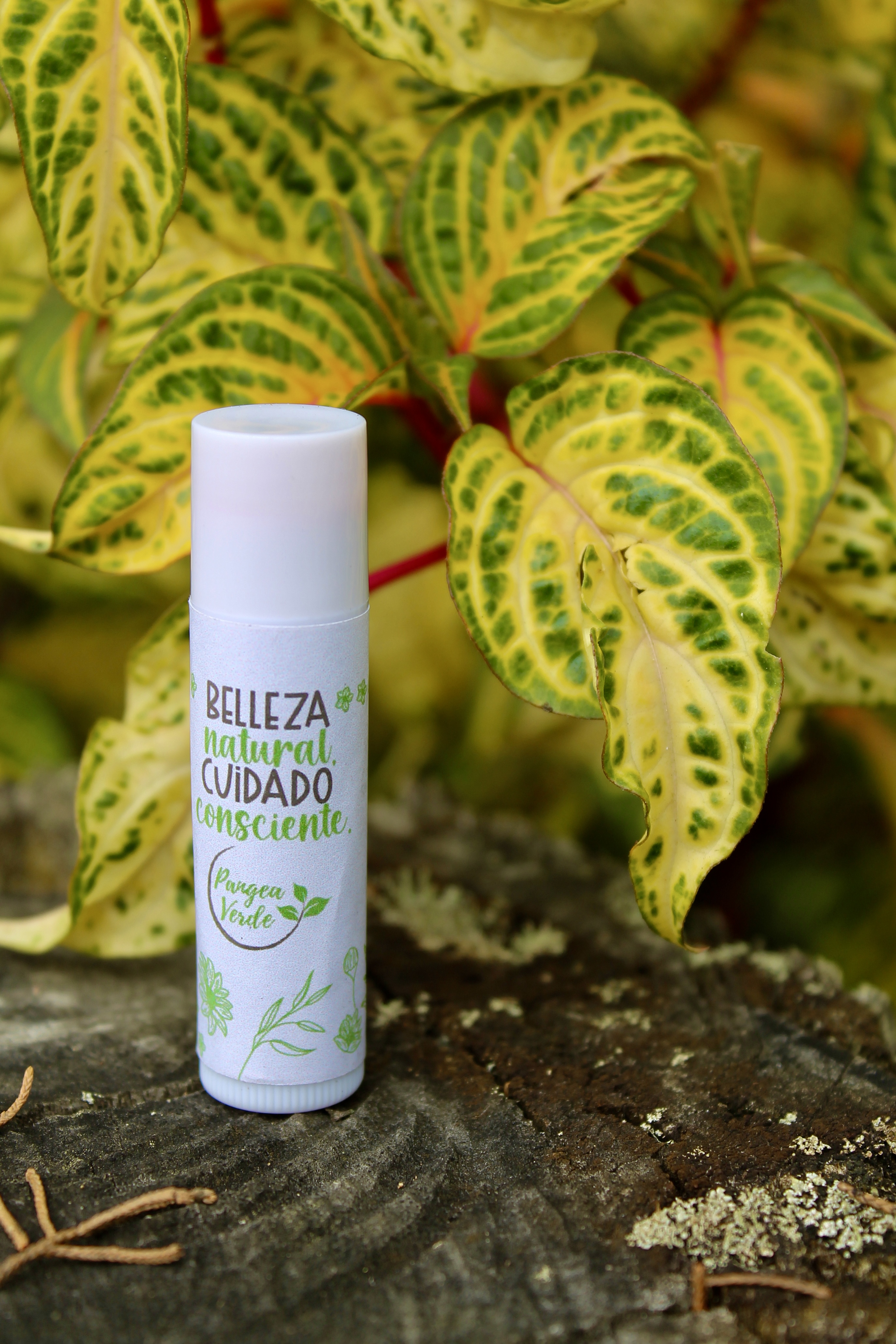 Kit Cuidado Personal Pangea Verde