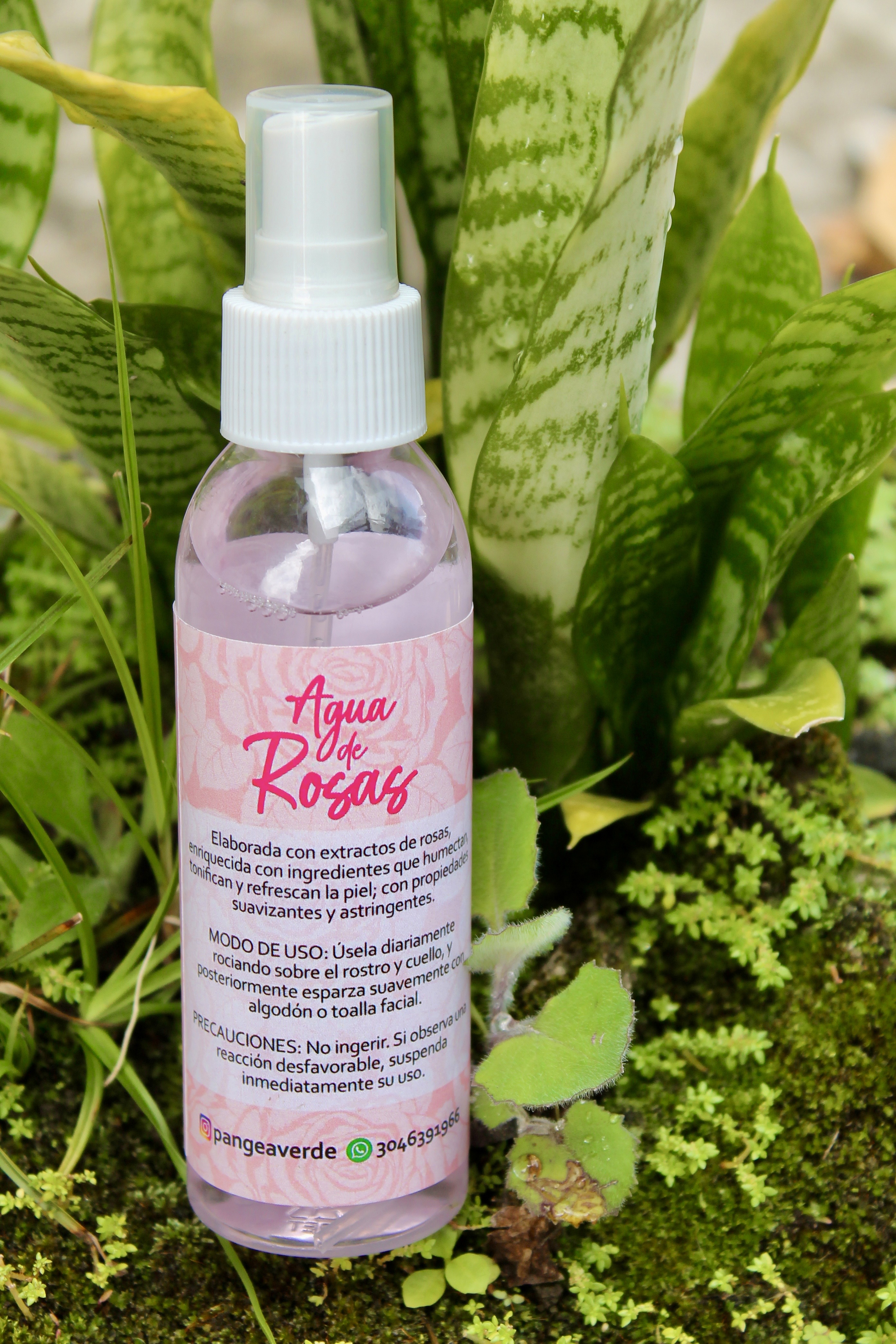Agua de Rosas Pangea Verde