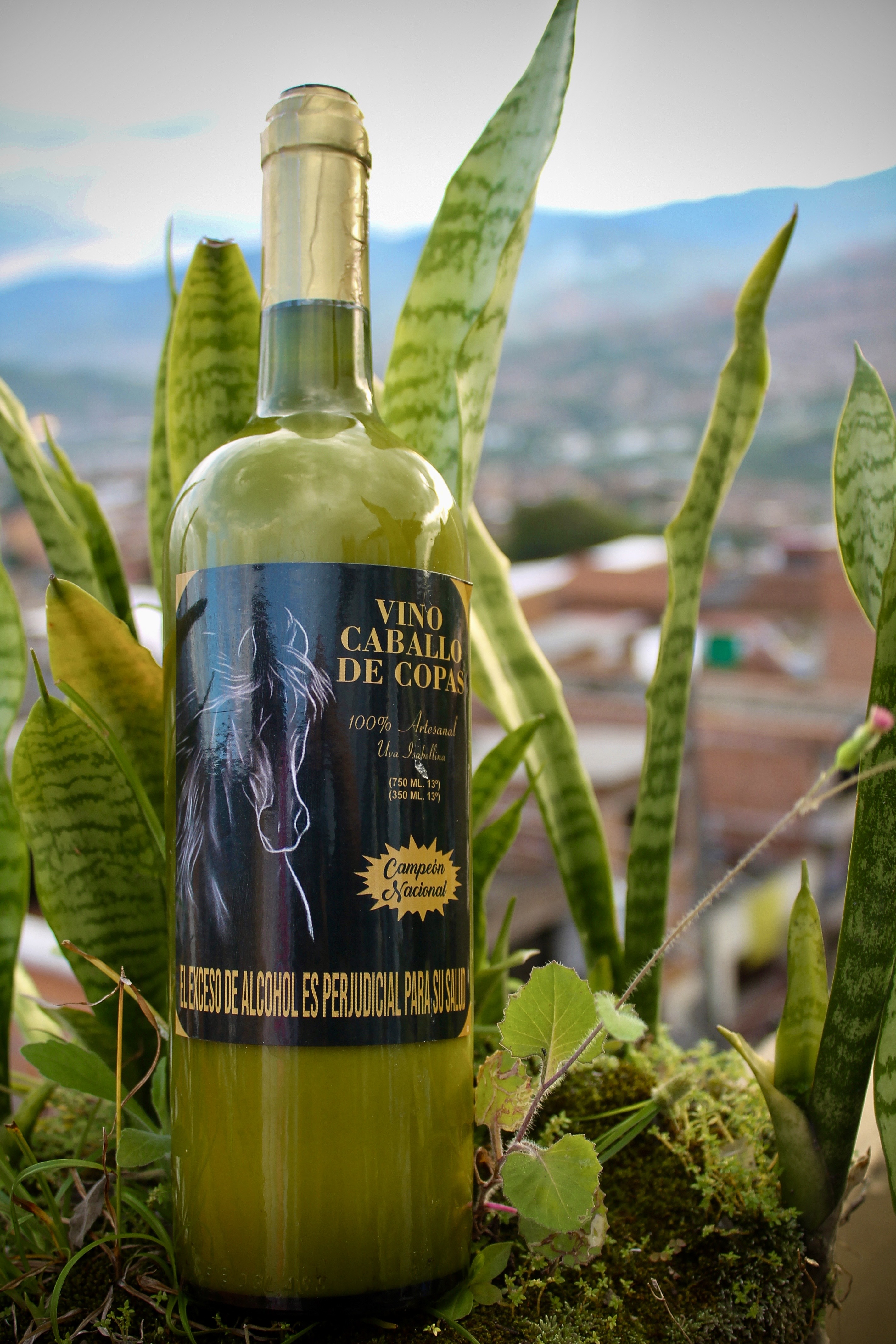 Crema de Whisky Artesanal Caballo de Copas