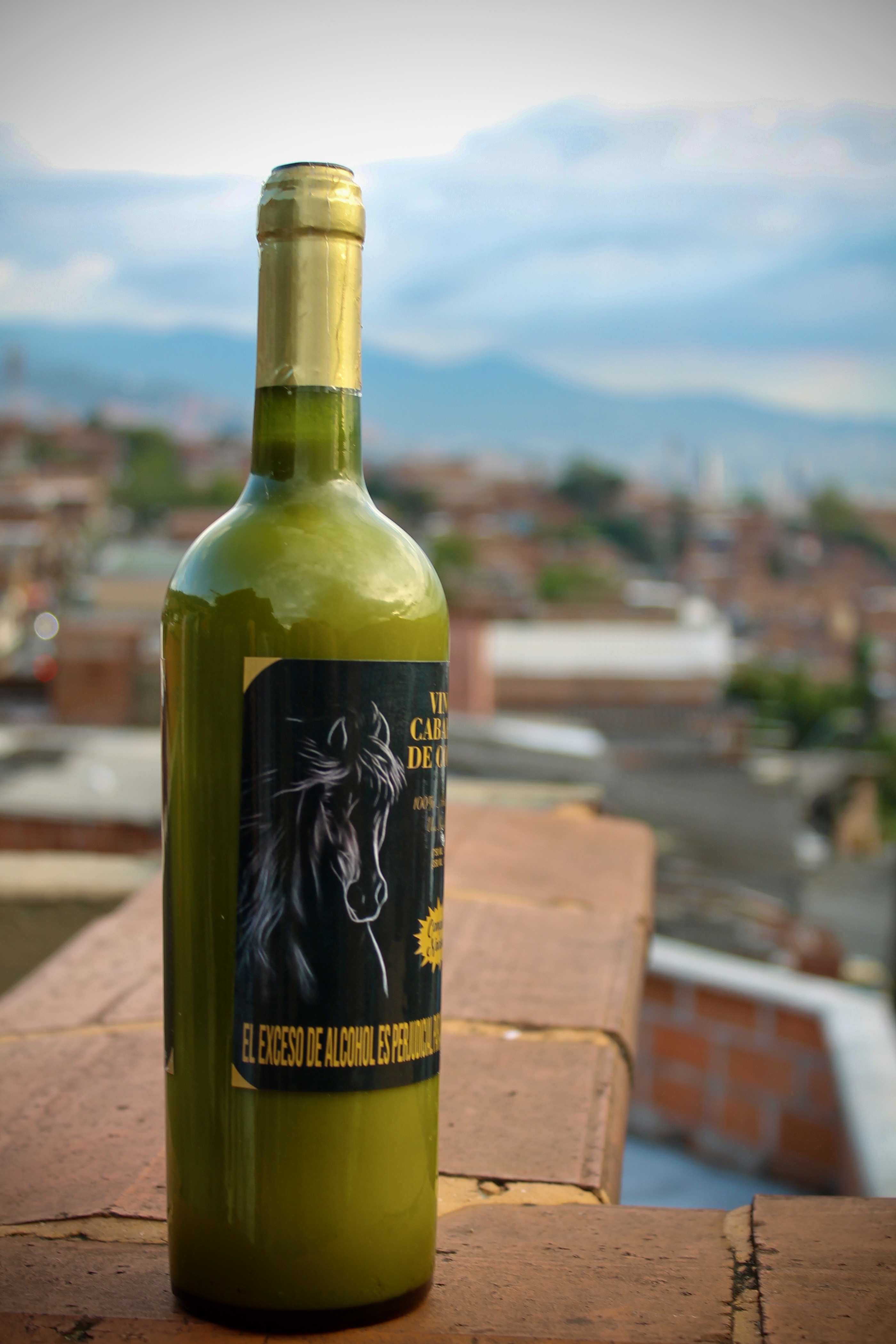 Crema de Whisky Artesanal Caballo de Copas