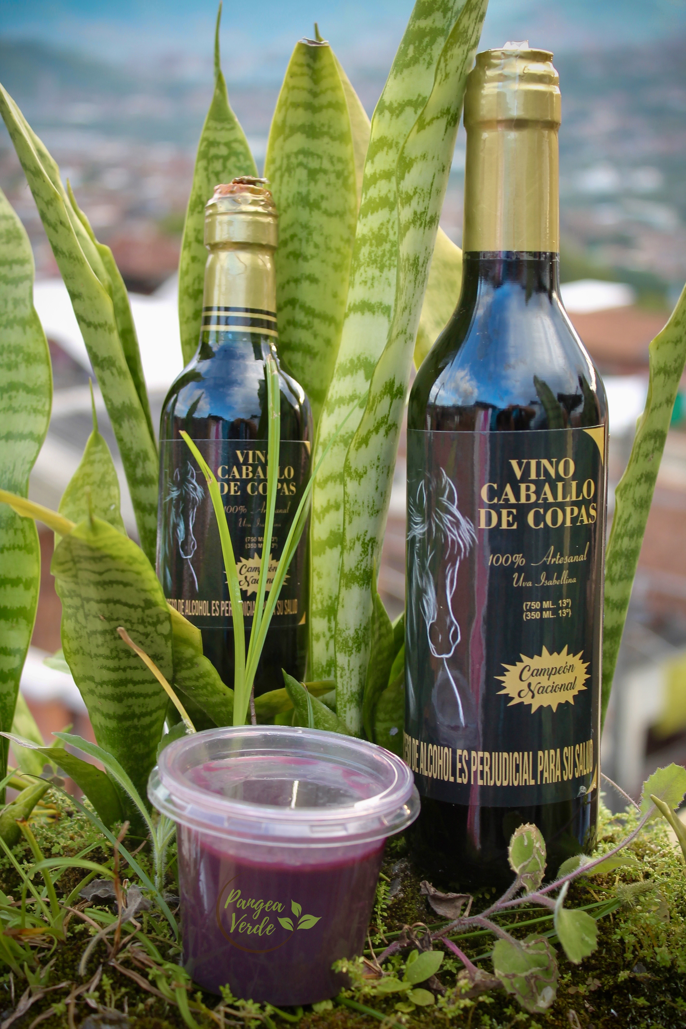 Arequipe de Uva Caballo de Copas