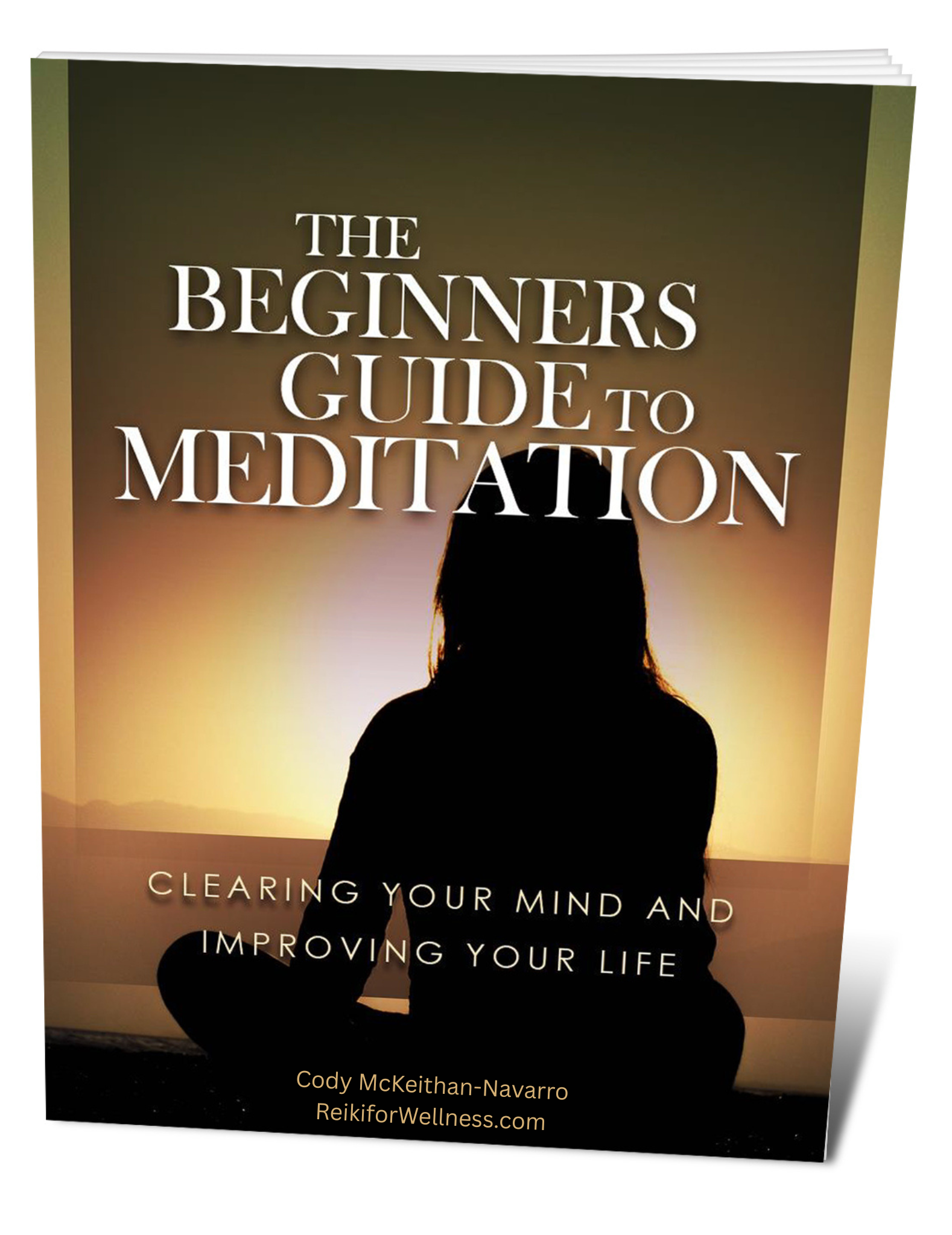 The Beginner's Guide to Meditation