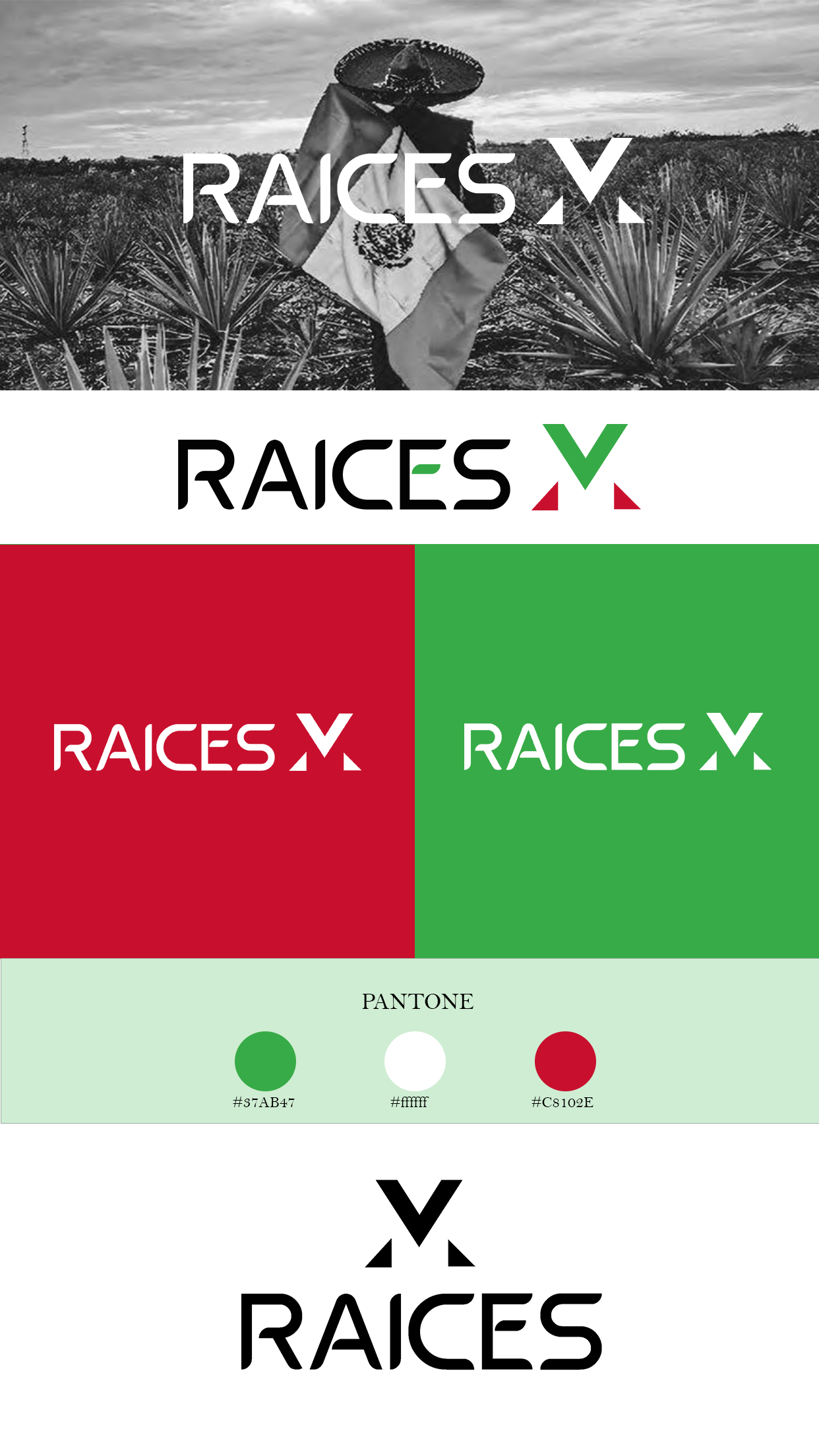 Desarrollo de Manual de Marca