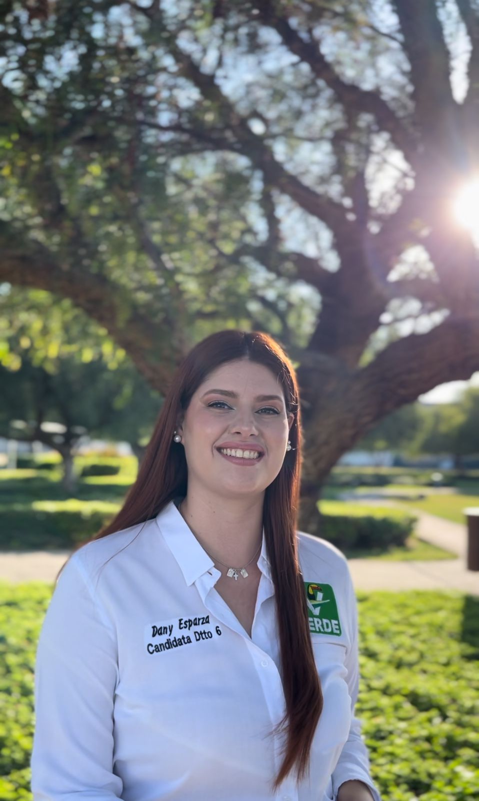 Comunicación Política