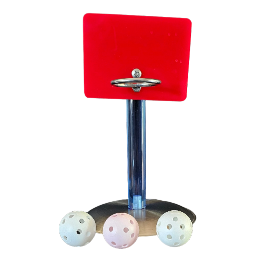 Birdy Basketball