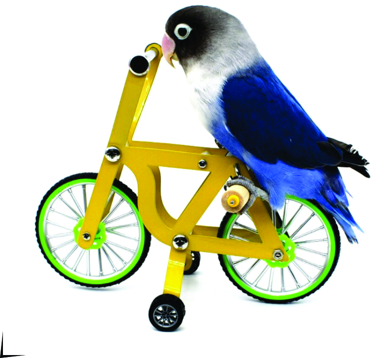 Birdy Bike