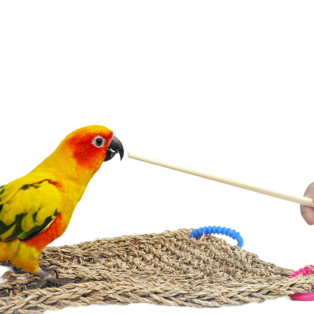 Plastic Target Stick