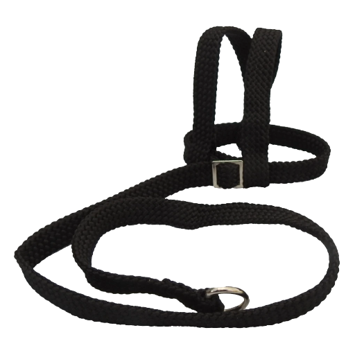 Adventurer Bird Harness - Small & Petite Birds