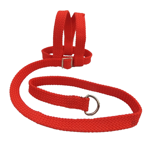 Adventurer Bird Harness - Small & Petite Birds