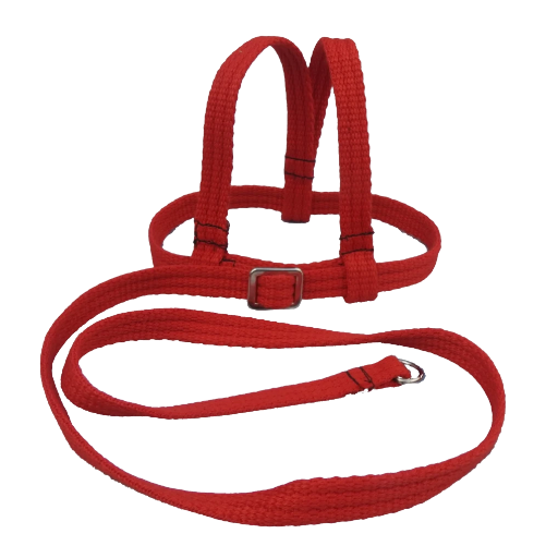 Adventurer Bird Harness