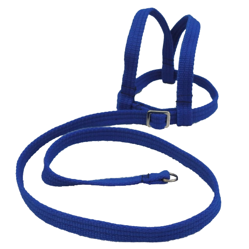 Adventurer Bird Harness