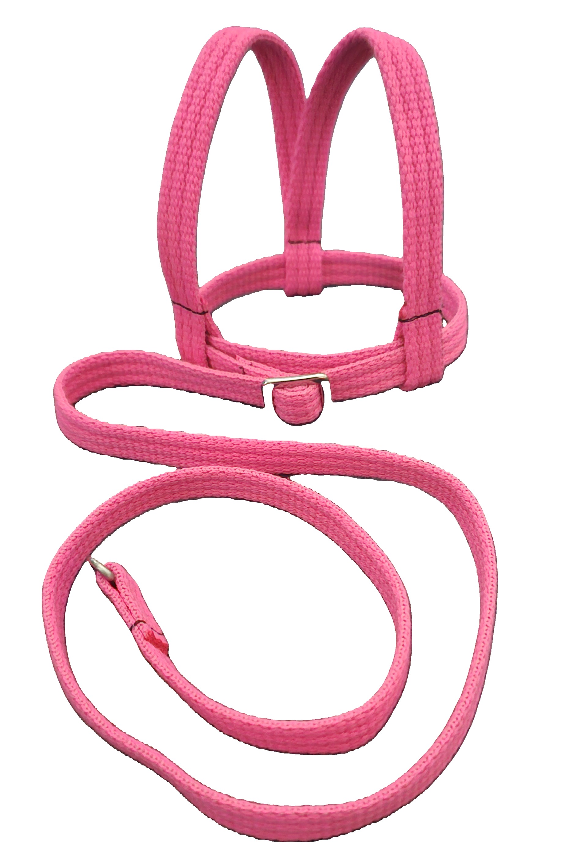 Adventurer Bird Harness