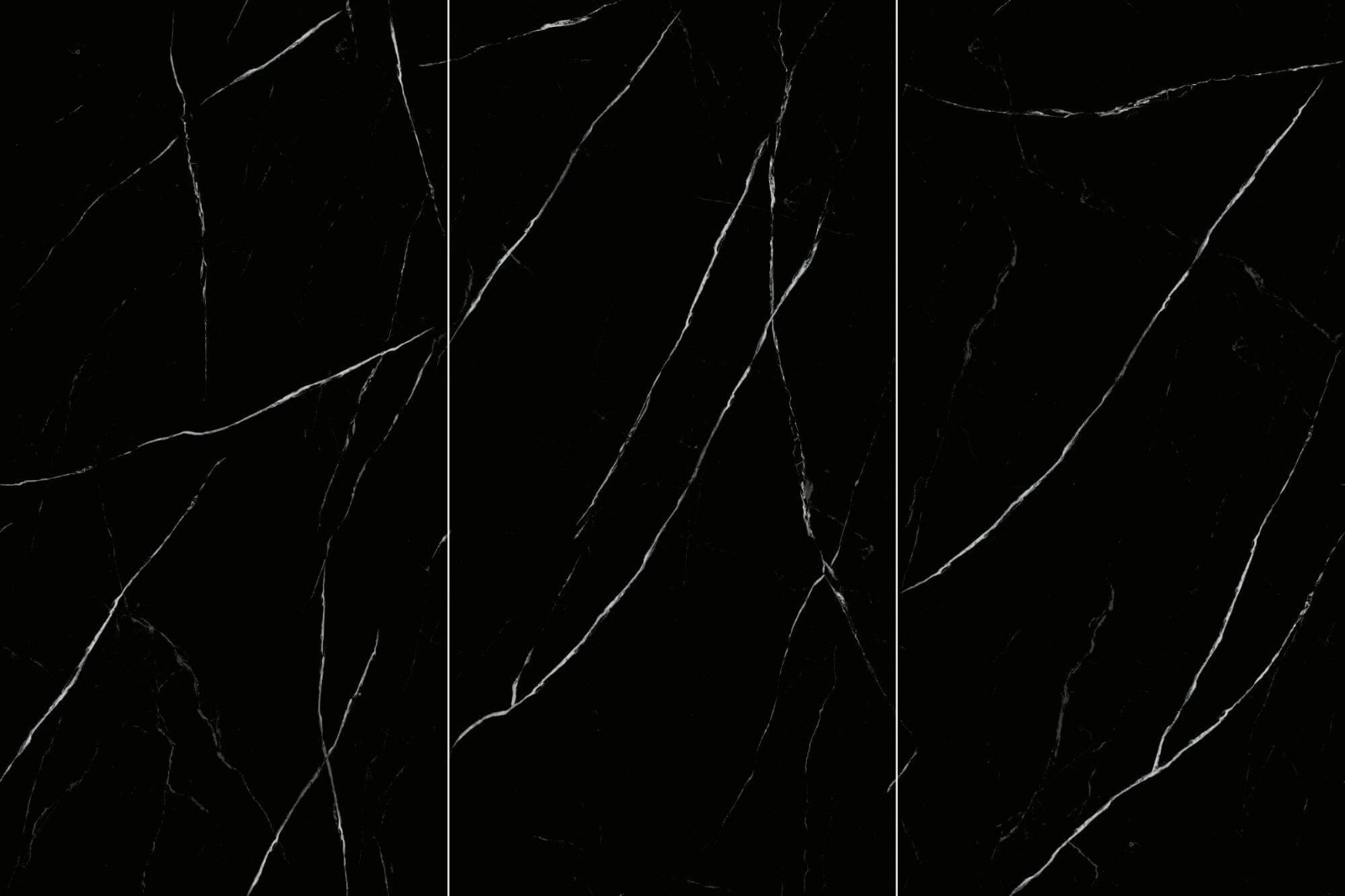 Black and White Roots Sintered Stone