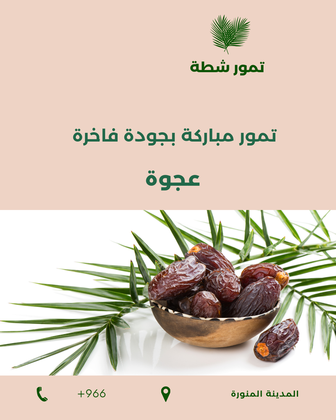 عجوة المدينة – تمور مباركة بجودة فاخرة